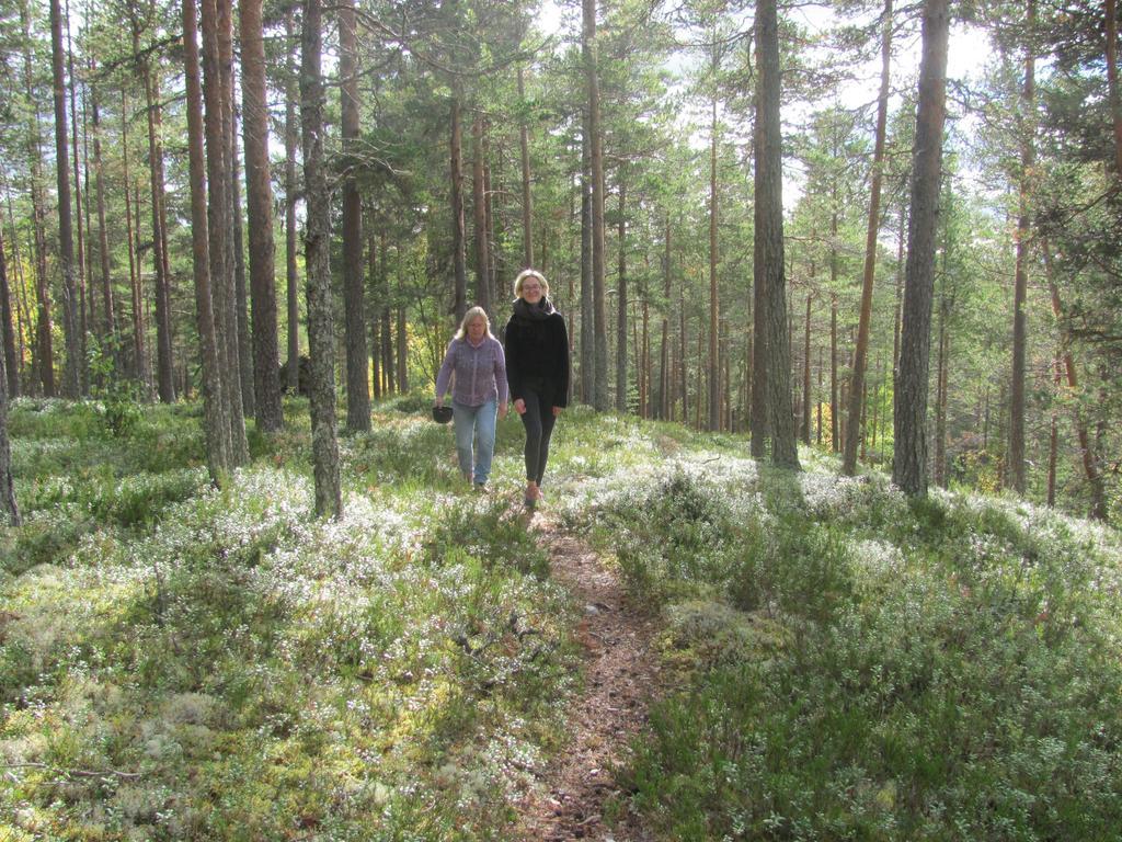 Гостевой дом Ellis Garden Vemhan Экстерьер фото