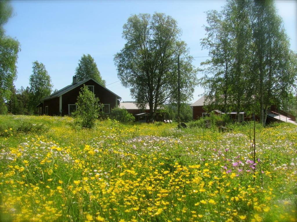 Гостевой дом Ellis Garden Vemhan Экстерьер фото